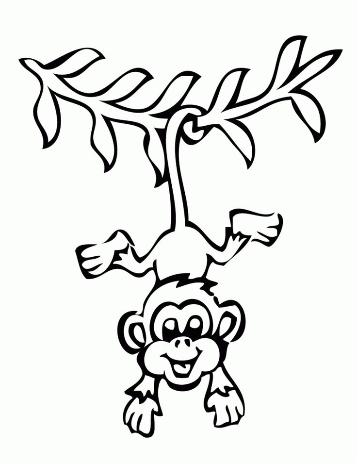 1000+ images about Monkey colouring pages