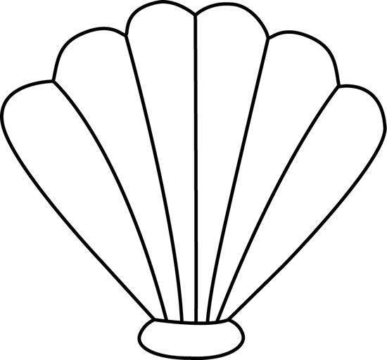 Seashell clipart outline black and white
