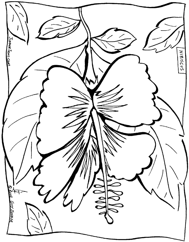 Junker Toons Hawaii - Free Coloring Pages