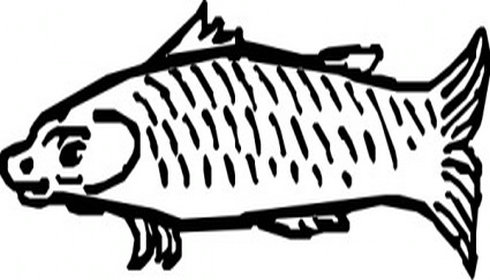 Fish Clip Art 2 | Free Vector Download - Graphics,