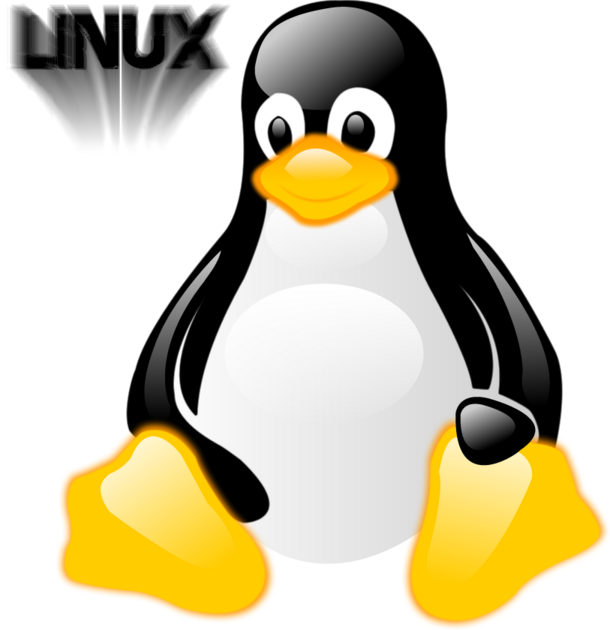 Программа пингвин. Линукс. linux пингвин. линукс лого. linux иконка.