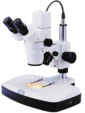 Stereo Microscope Overview