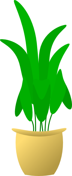119712582021387284freedo_Plant ...