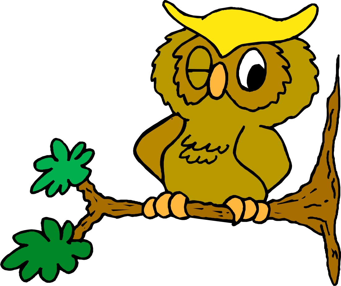 View larger image · Owl winking. View larger image