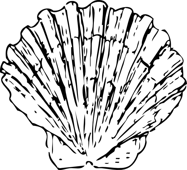 Turtle Shell Template
