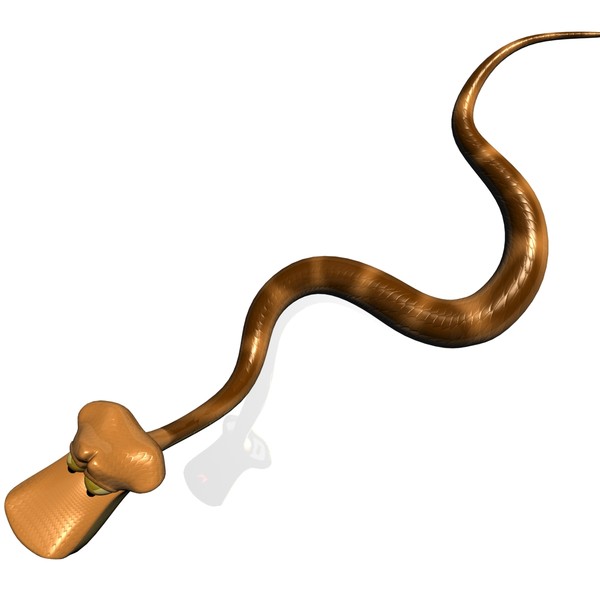 Animated Pictures Of Snakes