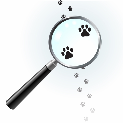 WAGS Wash and Groom Services Sale, Cheshire | Mobile dog groomer ...
