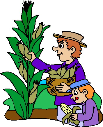 Gallery For Food Garden Clipart | Home Improvement