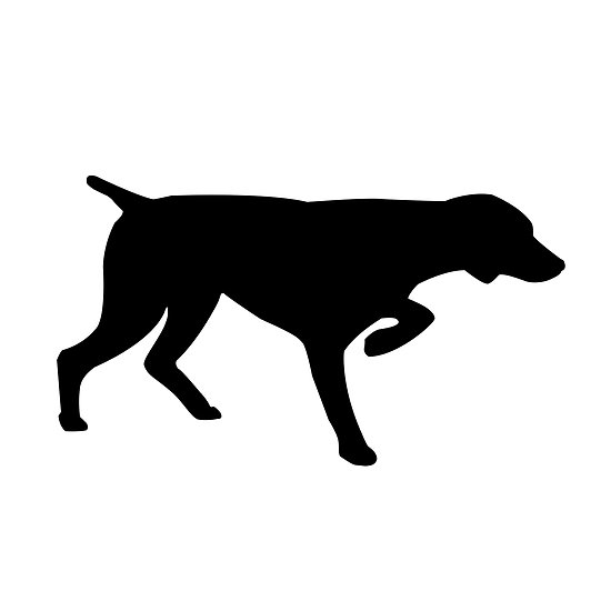 Trout Silhouette Clipart