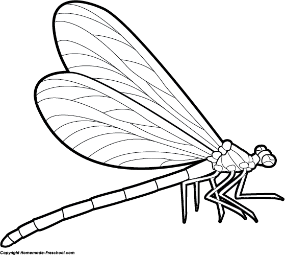 Clip Art Dragonfly