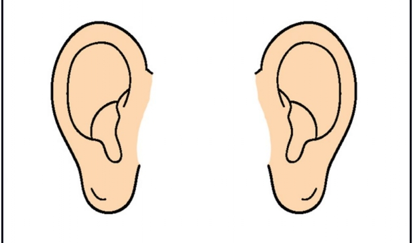 cute ear clipart cute ear clipart ear clip art ears clip art ...