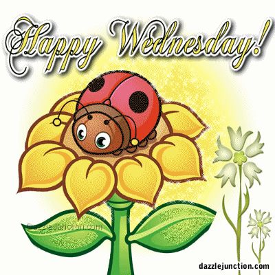 Happy Wednesday Images | Sia Course ...
