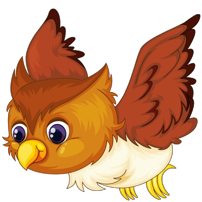 Owl's - Bird Images