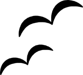 Seagull Stickers | Seagull Decals - Car Stickers