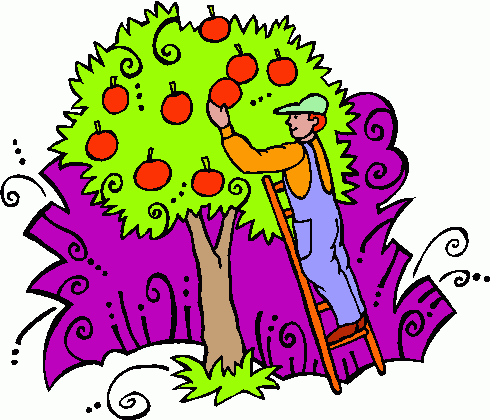 Harvest Free Clipart