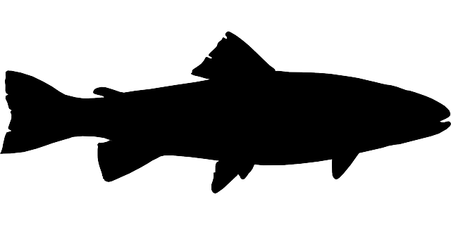Fish Silhouette Clipart