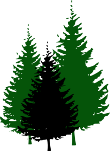 trees-md.png