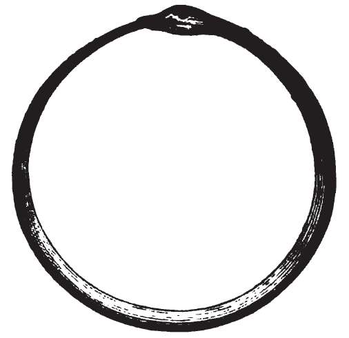 Snake Circle - ClipArt Best