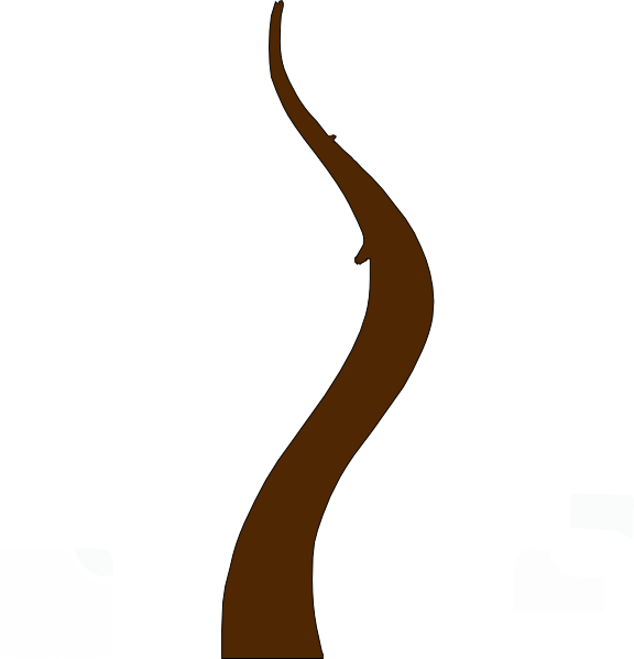 Tree trunk clipart png