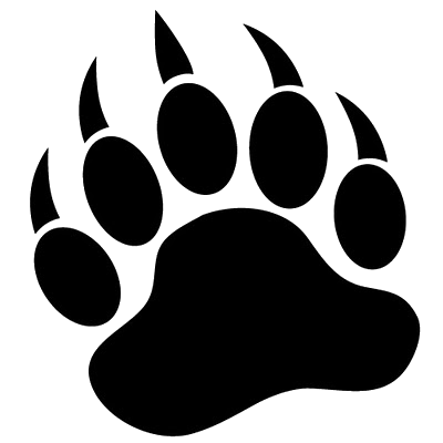 Bear print, Bears and Search