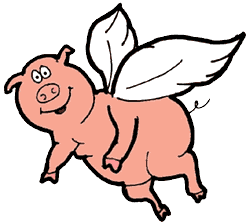 Flying Pig