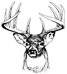 Reindeer, Deer and Metals