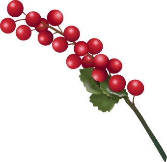 Holly berry clip art