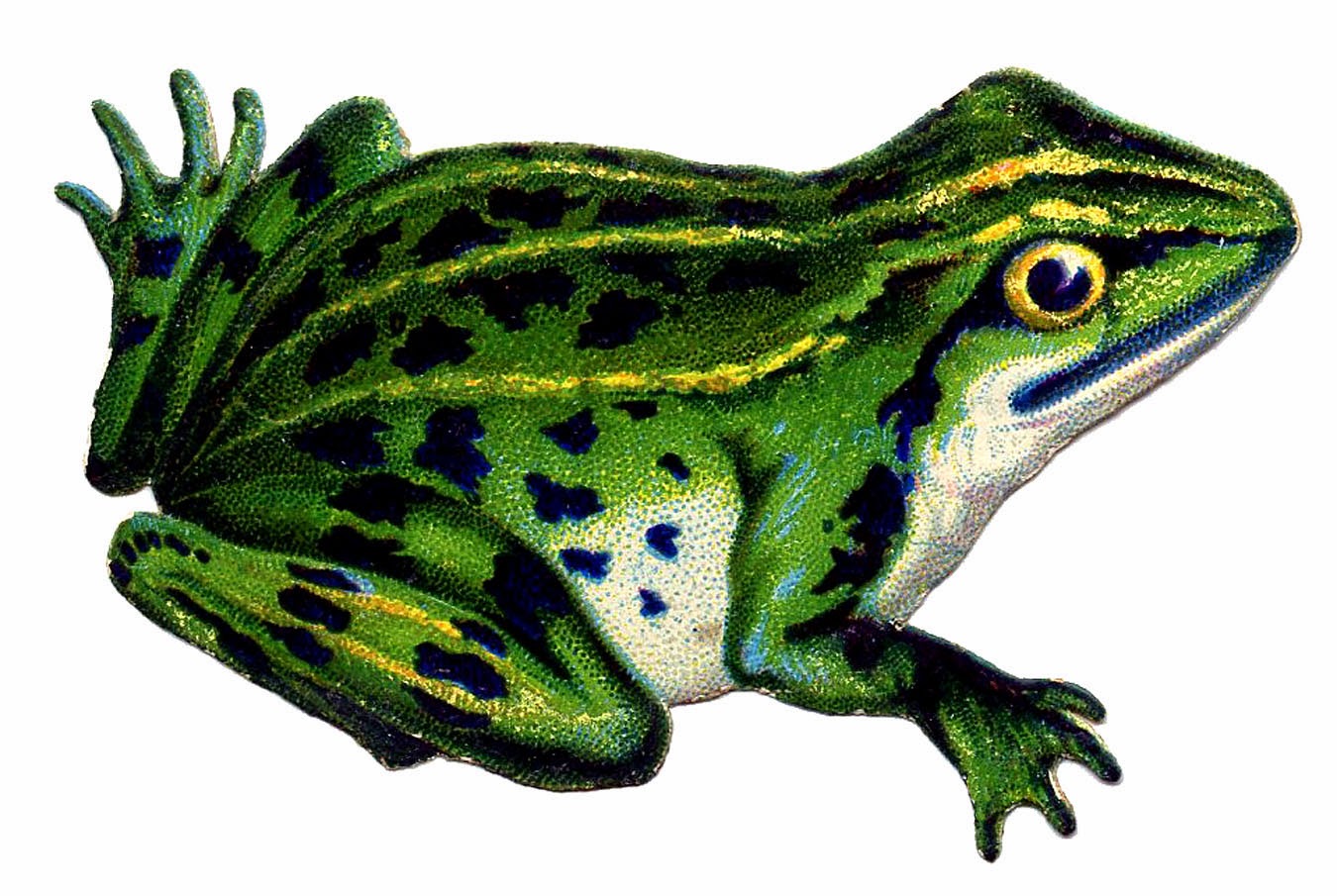 Strangers & Pilgrims on Earth: Frog and Toad ~ A Unit Study