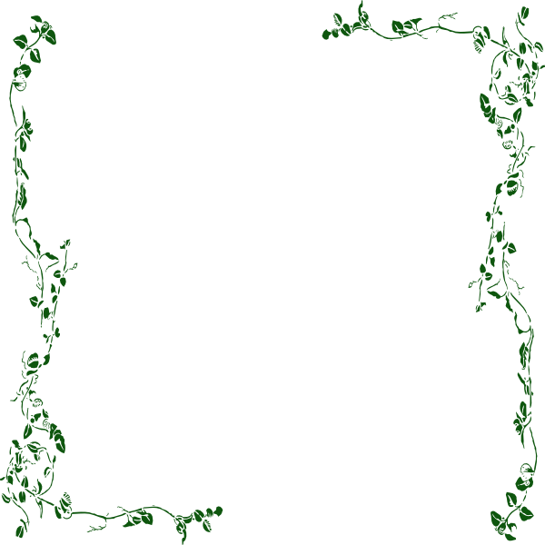 Vine Borders