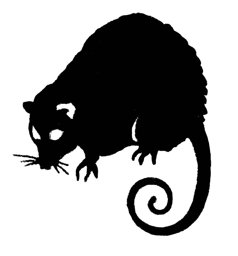 Possum Clip Art