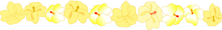 Yellow Orchid Flower Border Clip Art, Free Floral Scrapbook Graphics