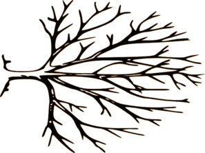 Oak Tree Clipart Black And White - Free Clipart Images