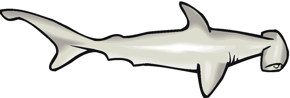 Hammerhead Shark Clip Art - Free Clipart Images