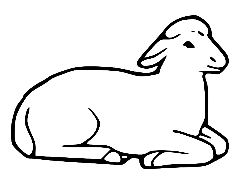 Lamb outline sheep clip art free clipart images image - Clipartix