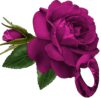 Animated Numbers Red Rose