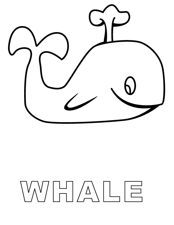 Printable Shamu Coloring Pages - Free Coloring Sheets