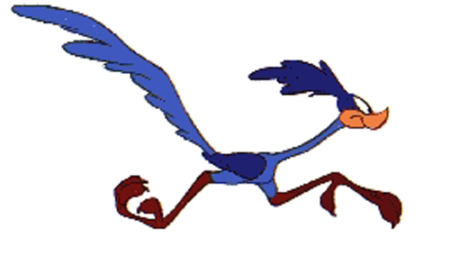 Image - Roadrunner-cartoon.jpg - Looney Tunes Wiki