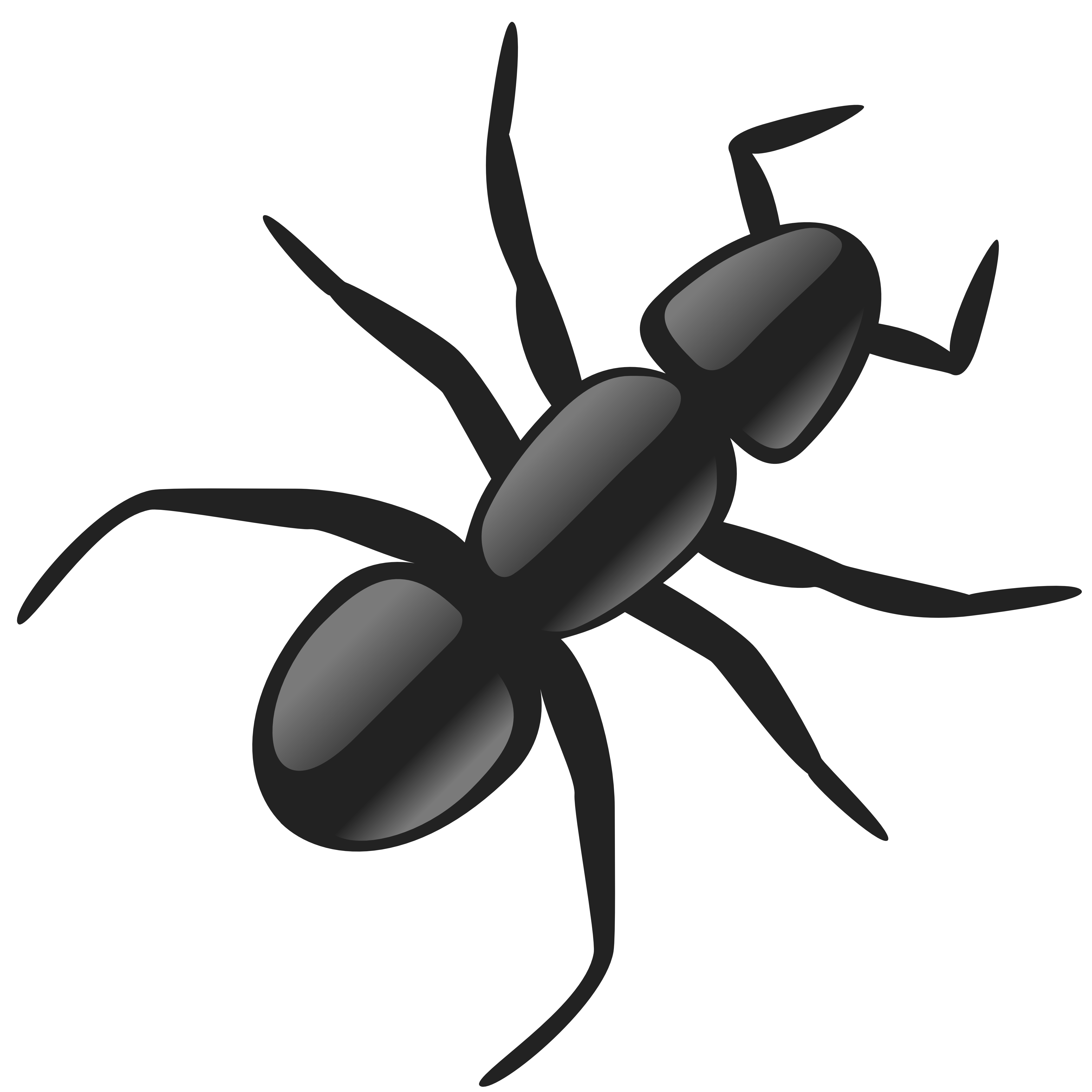 insect ant SVG