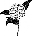 Flower Garden Vector - Download 1,000 Vectors (Page 1)