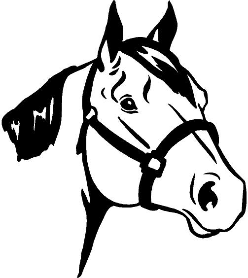 Horse Head Decal