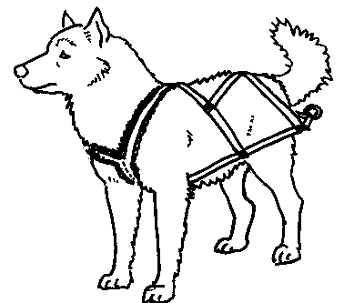 Make Your Own Dog Harness » UberPest's Journal