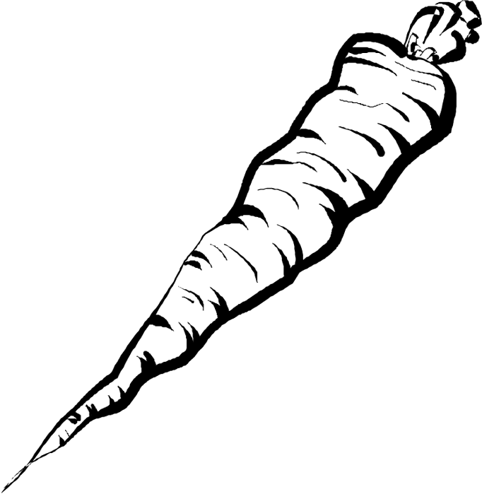 carrot-