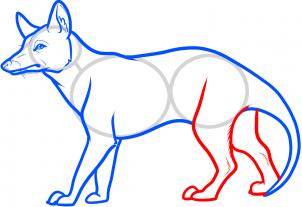 Animals - How to Draw a Tasmanian Tiger, Tasmanian Wolf