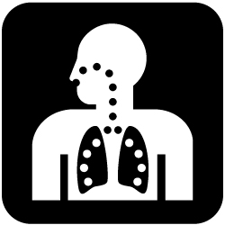 Radiology Symbols - ClipArt Best