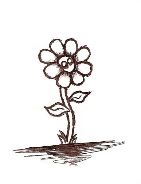 Flower Without Color by BlackWood6 on DeviantArt