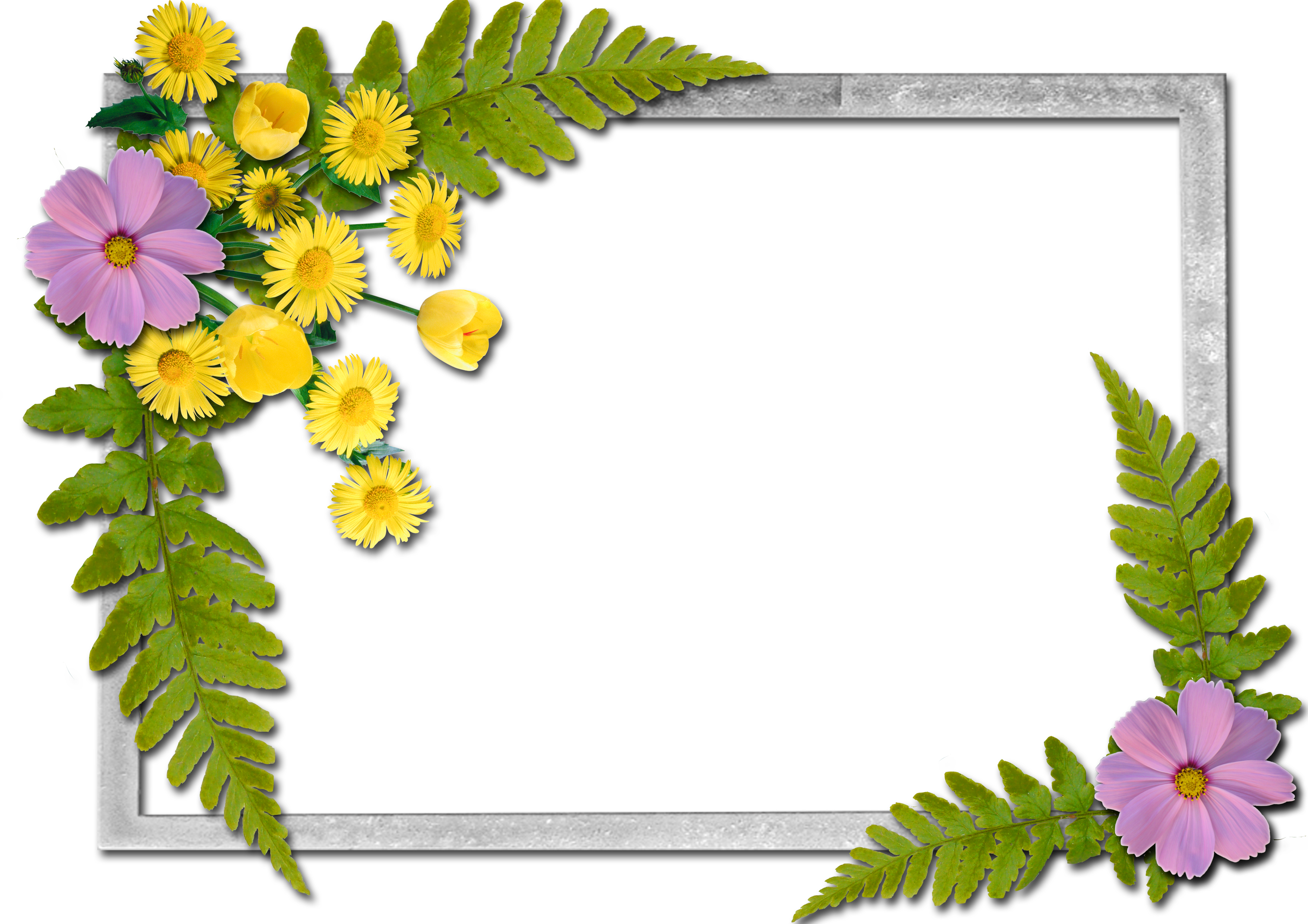 Flowers frame (15)