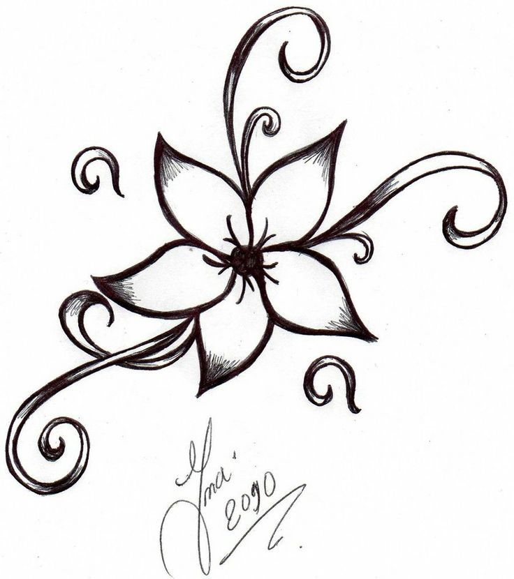 Easy Flower Drawings | Flower ...