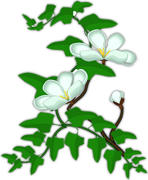 Free Flowers - Butterflies - Animated Gifs - Clipart