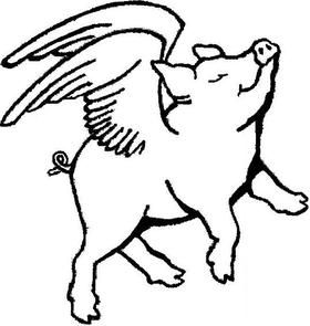 Pig Drawing | Si Scott, Cat Drawing ...