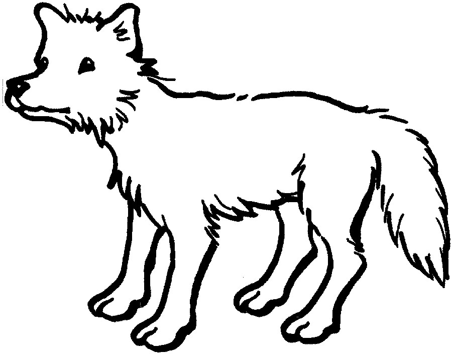 Land animals background clipart black and white